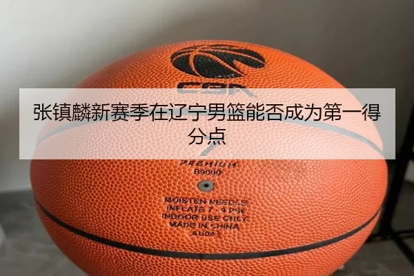 张镇麟新赛季在辽宁男篮能否成为第一得分点
